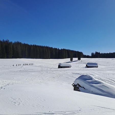 Villa Pokljuka Zgornje Gorje Bagian luar foto