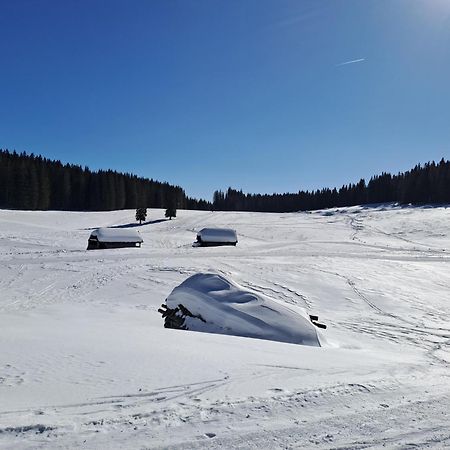 Villa Pokljuka Zgornje Gorje Bagian luar foto