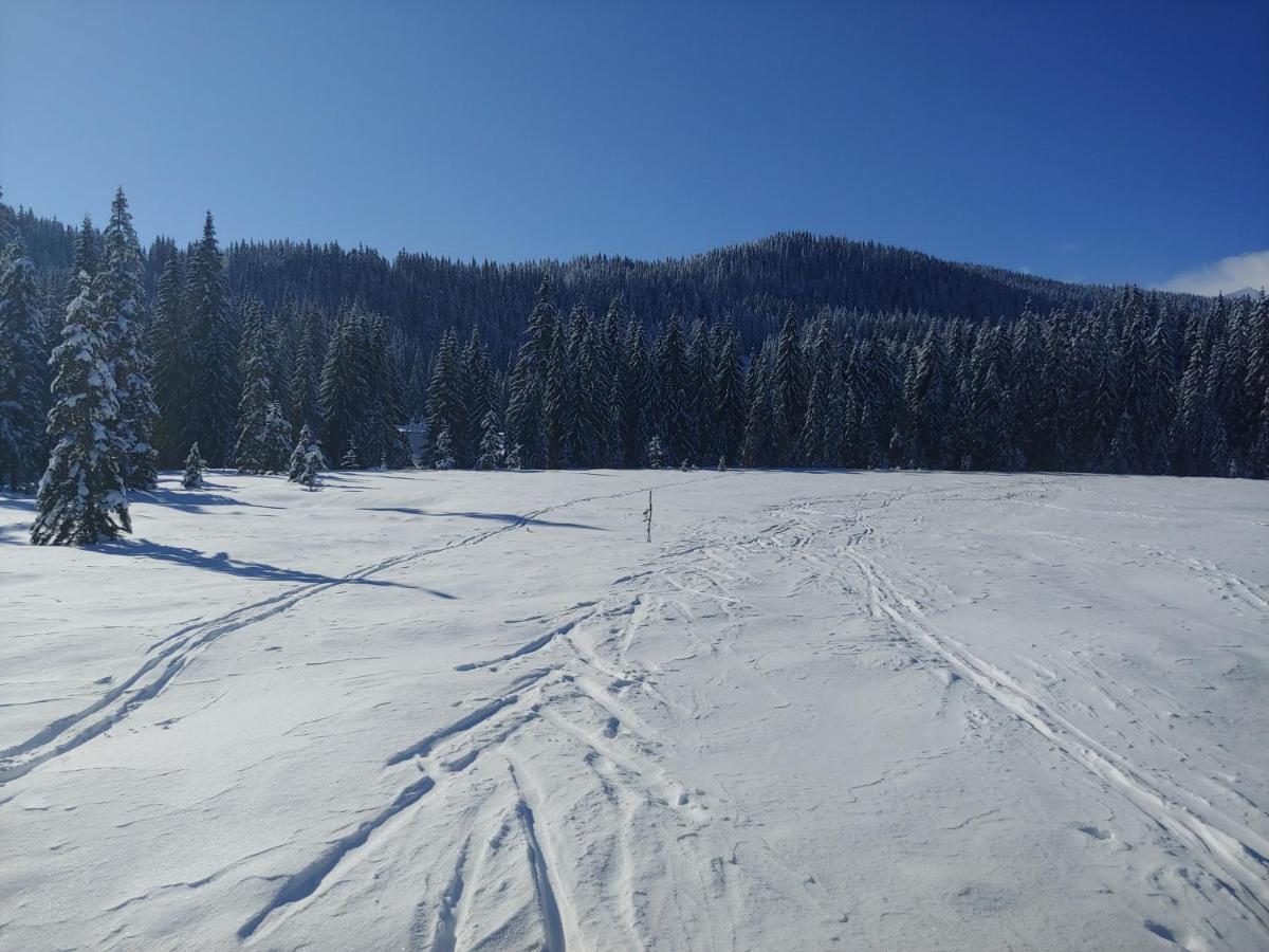 Villa Pokljuka Zgornje Gorje Bagian luar foto