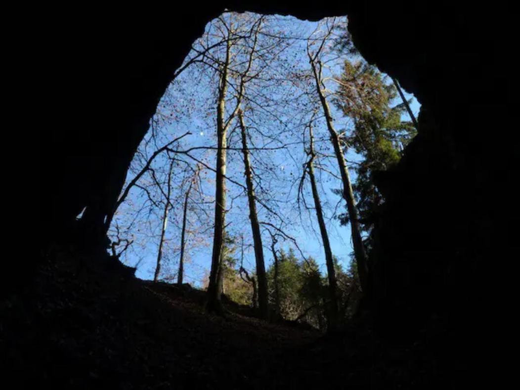 Villa Pokljuka Zgornje Gorje Bagian luar foto