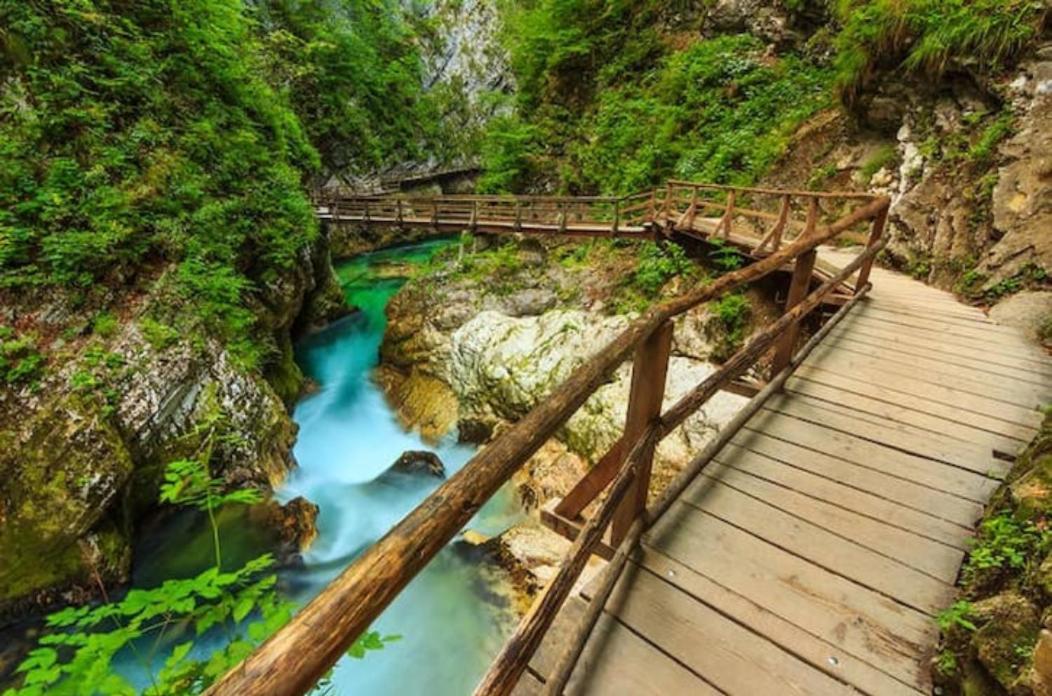 Villa Pokljuka Zgornje Gorje Bagian luar foto