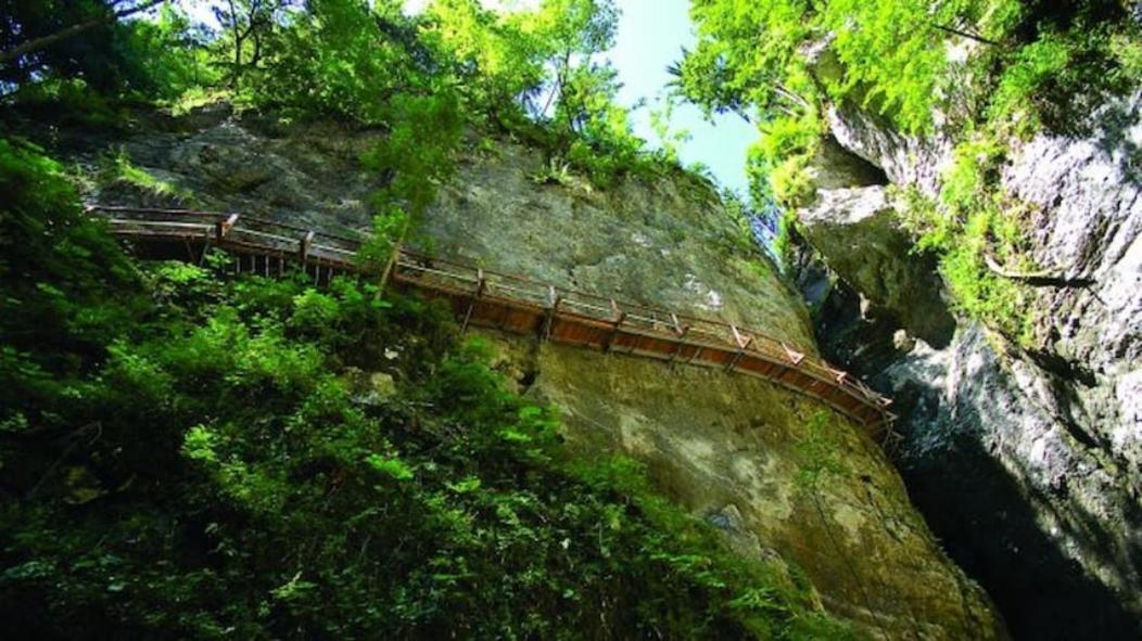 Villa Pokljuka Zgornje Gorje Bagian luar foto