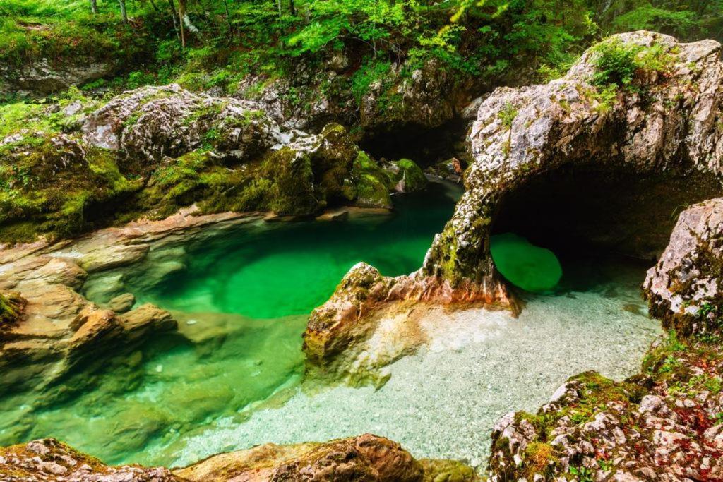 Villa Pokljuka Zgornje Gorje Bagian luar foto