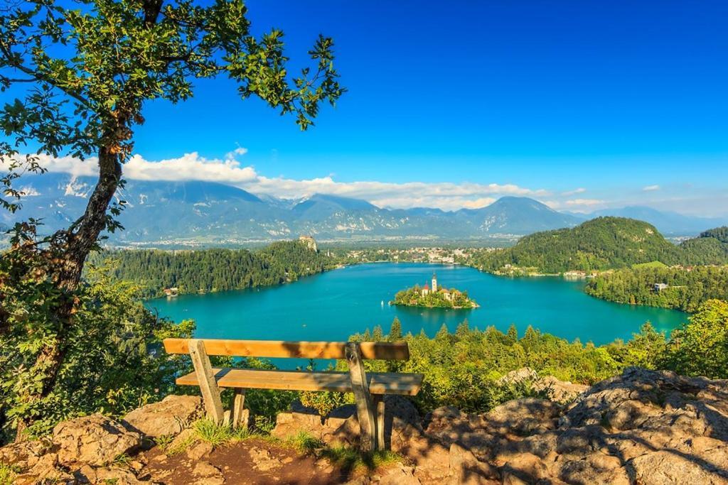 Villa Pokljuka Zgornje Gorje Bagian luar foto