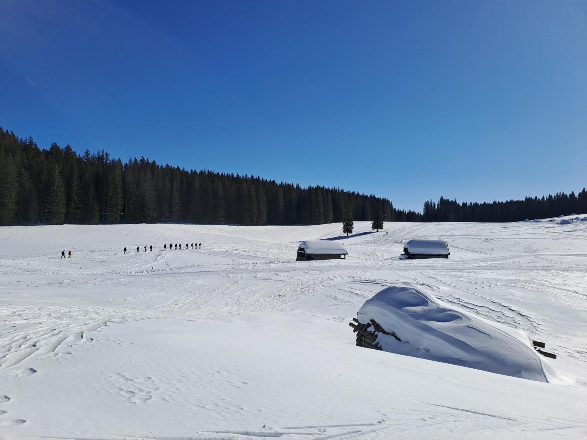 Villa Pokljuka Zgornje Gorje Bagian luar foto