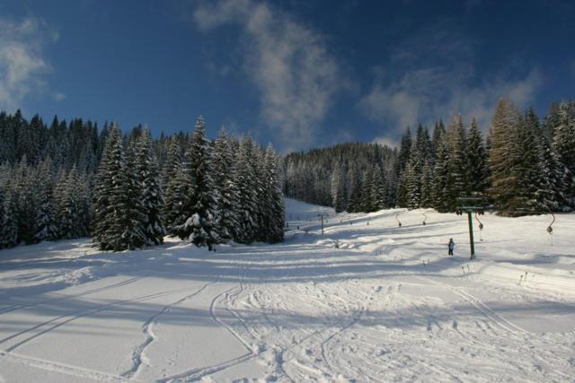 Villa Pokljuka Zgornje Gorje Bagian luar foto