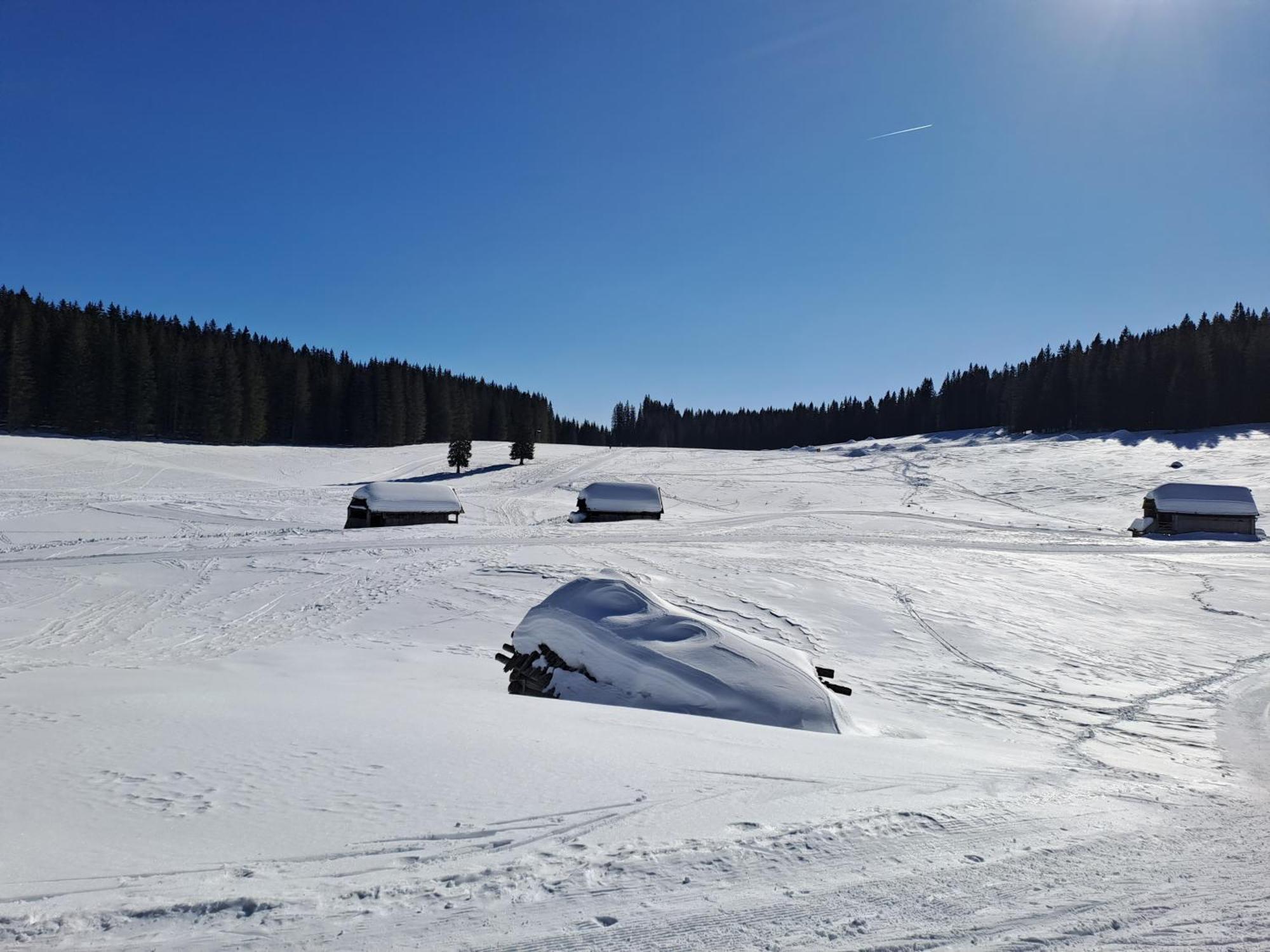 Villa Pokljuka Zgornje Gorje Bagian luar foto