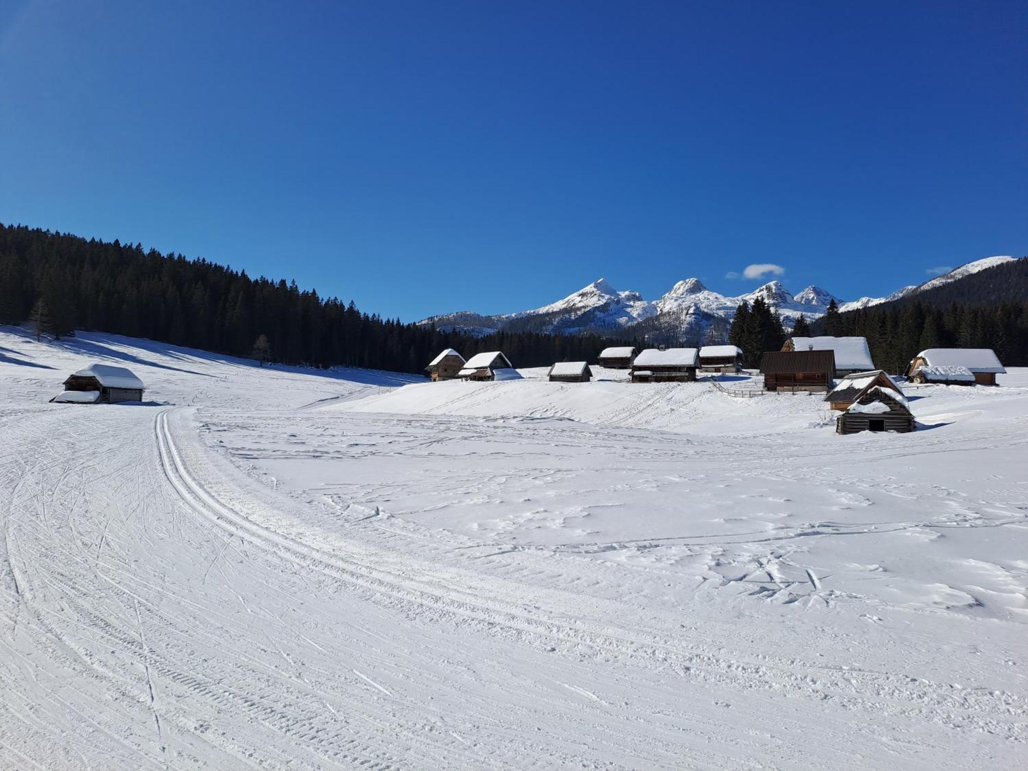Villa Pokljuka Zgornje Gorje Bagian luar foto