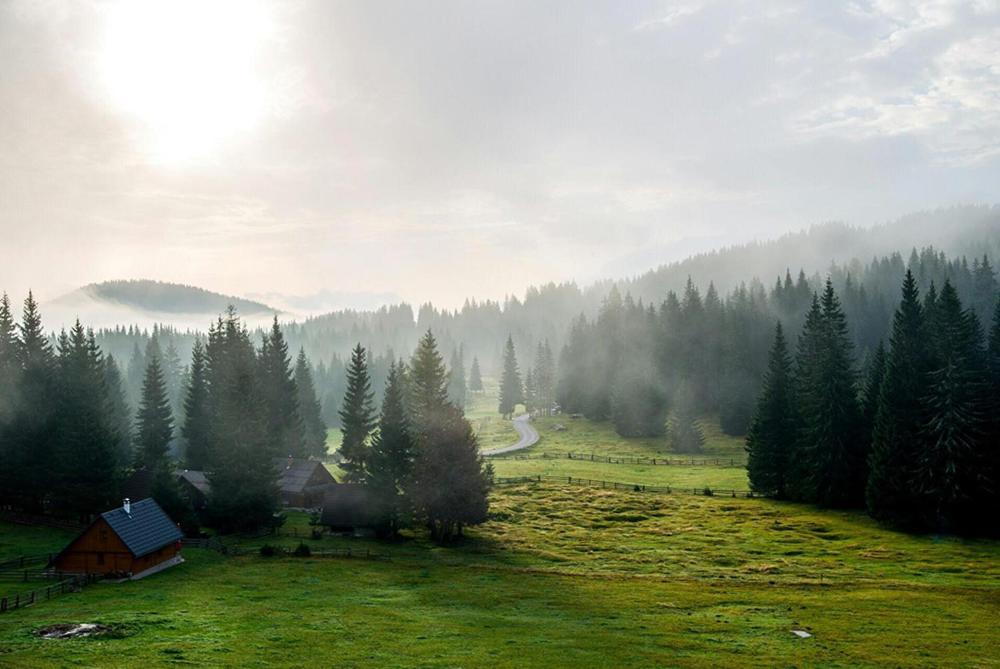Villa Pokljuka Zgornje Gorje Bagian luar foto