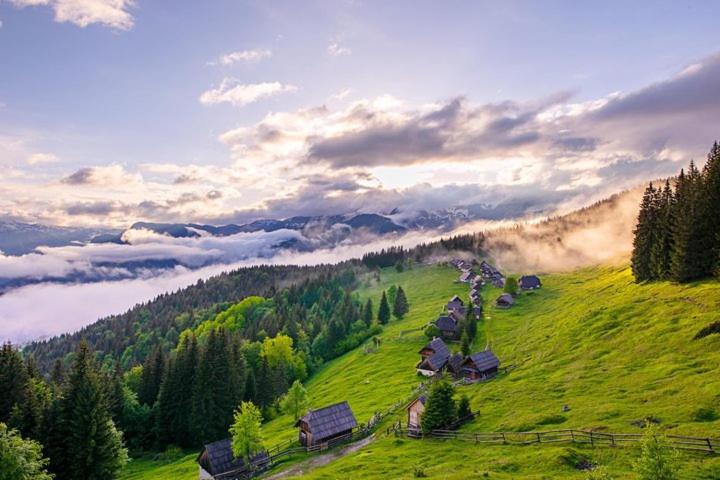 Villa Pokljuka Zgornje Gorje Bagian luar foto