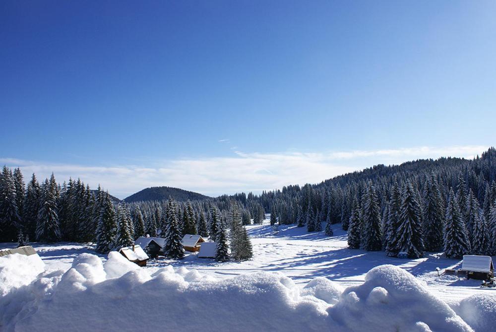 Villa Pokljuka Zgornje Gorje Bagian luar foto