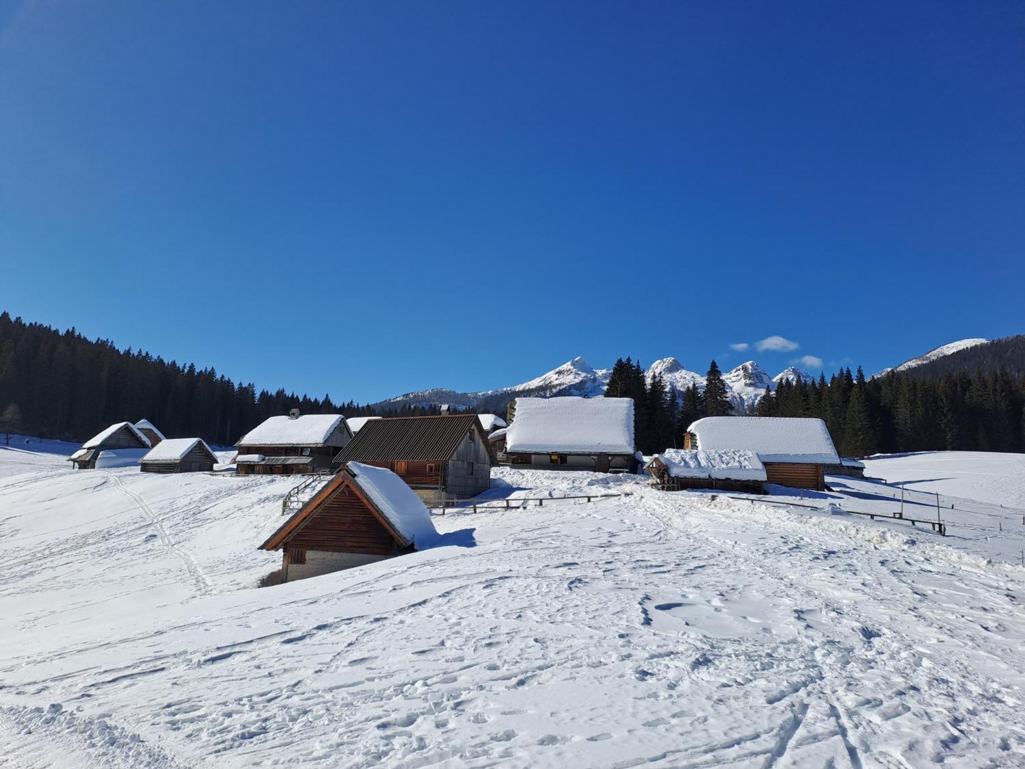 Villa Pokljuka Zgornje Gorje Bagian luar foto